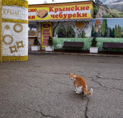 Прикрепленное изображение: IMG_6824.jpg